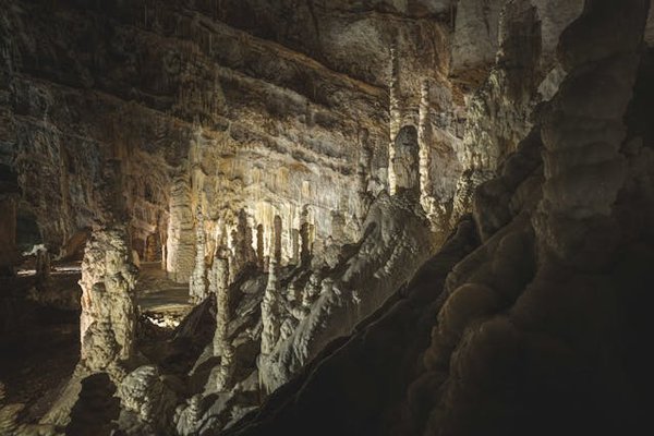 How can you enjoy a cost-effective visit to the British Library in London?